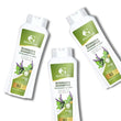 Rosmara Shampoo Pack of 3, three bottles, tilted